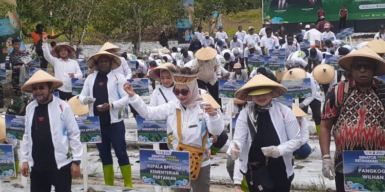 Senator DPD RI Pilih Mimika Jadi Pilot Project Penanaman Jagung Nasional