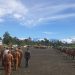 Pimpin Apel Gabungan OPD, Bupati Mimika Tekankan Tiga Poin Penting Pembangunan dan Tata Birokrasi, Termasuk Penyusunan Buku Saku Bagi ASN
